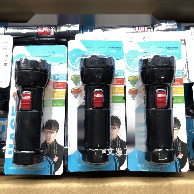 YD-8711 flashlight to Punjab