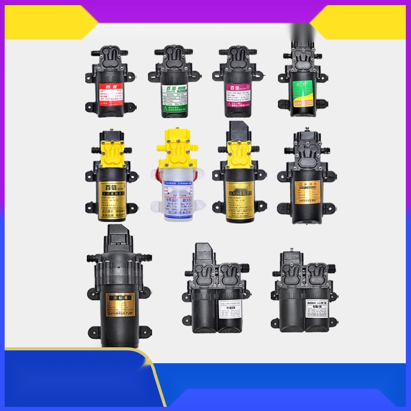 Electric Sprayer Pump to Karnataka