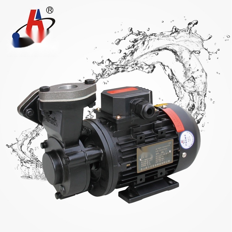 WM-10 vortex pump to Maharashtra