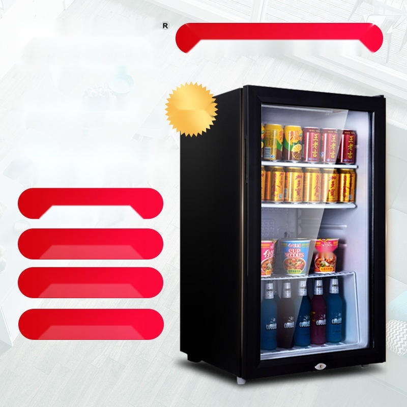 Xinli 110L refrigerated bar to Manipur