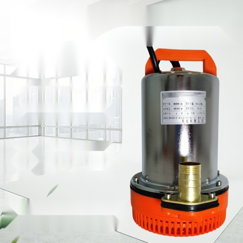 High-flow 48/60V electric vehicle DC pump to Meghalaya