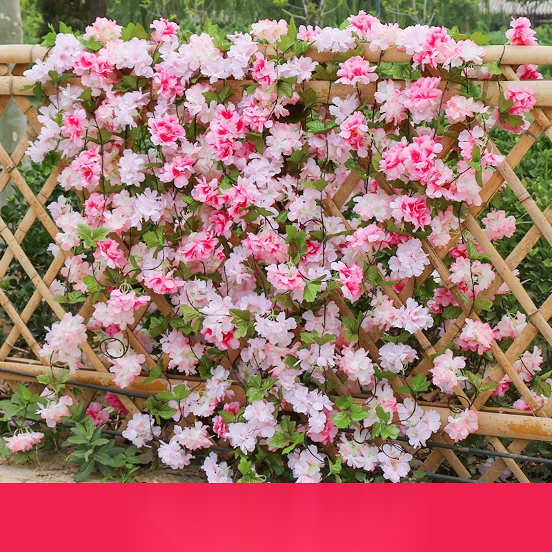 Simulated cherry blossom vine to Arunachal Pradesh