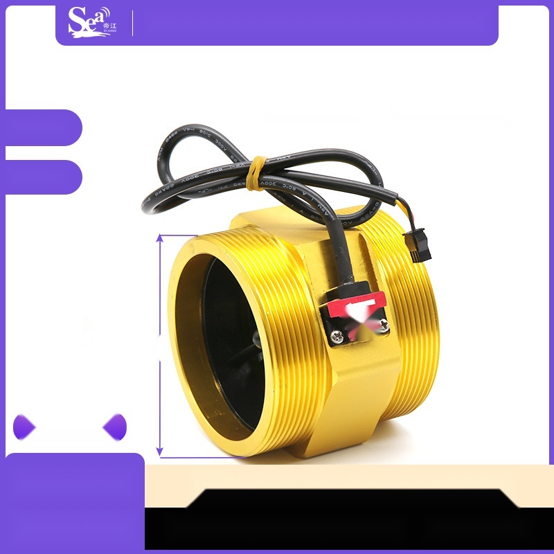 DN80 Water Flow Sensor to Bihar