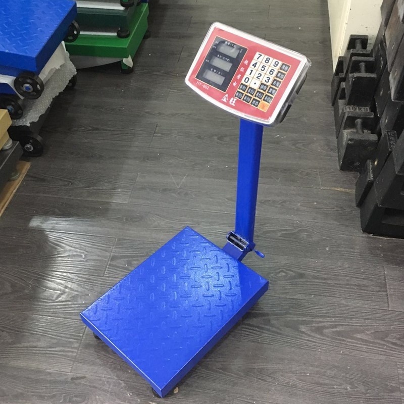 Jinwang 300kg electronic platform scale to Bihar