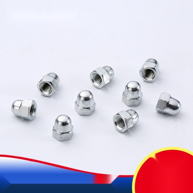 Stainless Steel Hexagon Cap Nut to Kerala