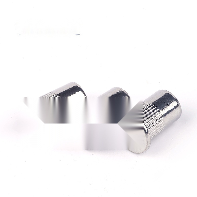 Stainless steel 304 small countersunk rivet nut to Chandigarh