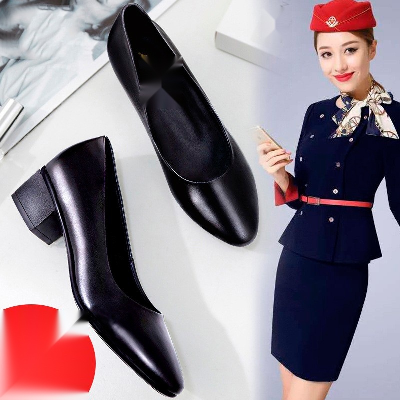 Flight attendant work shoes to Madhya Pradesh
