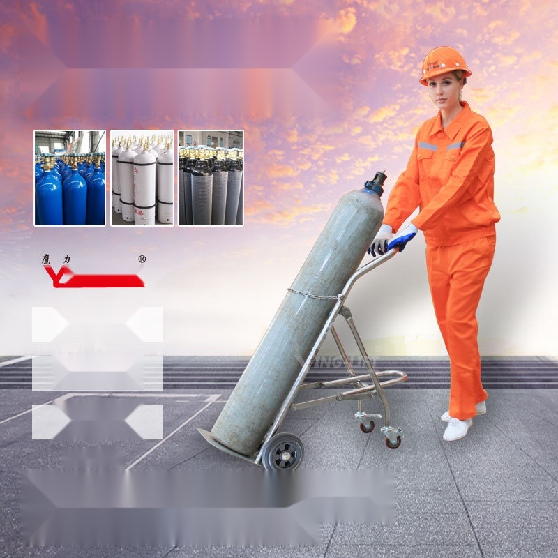Stainless Steel Gas Cylinder Cart TY120 to Odisha