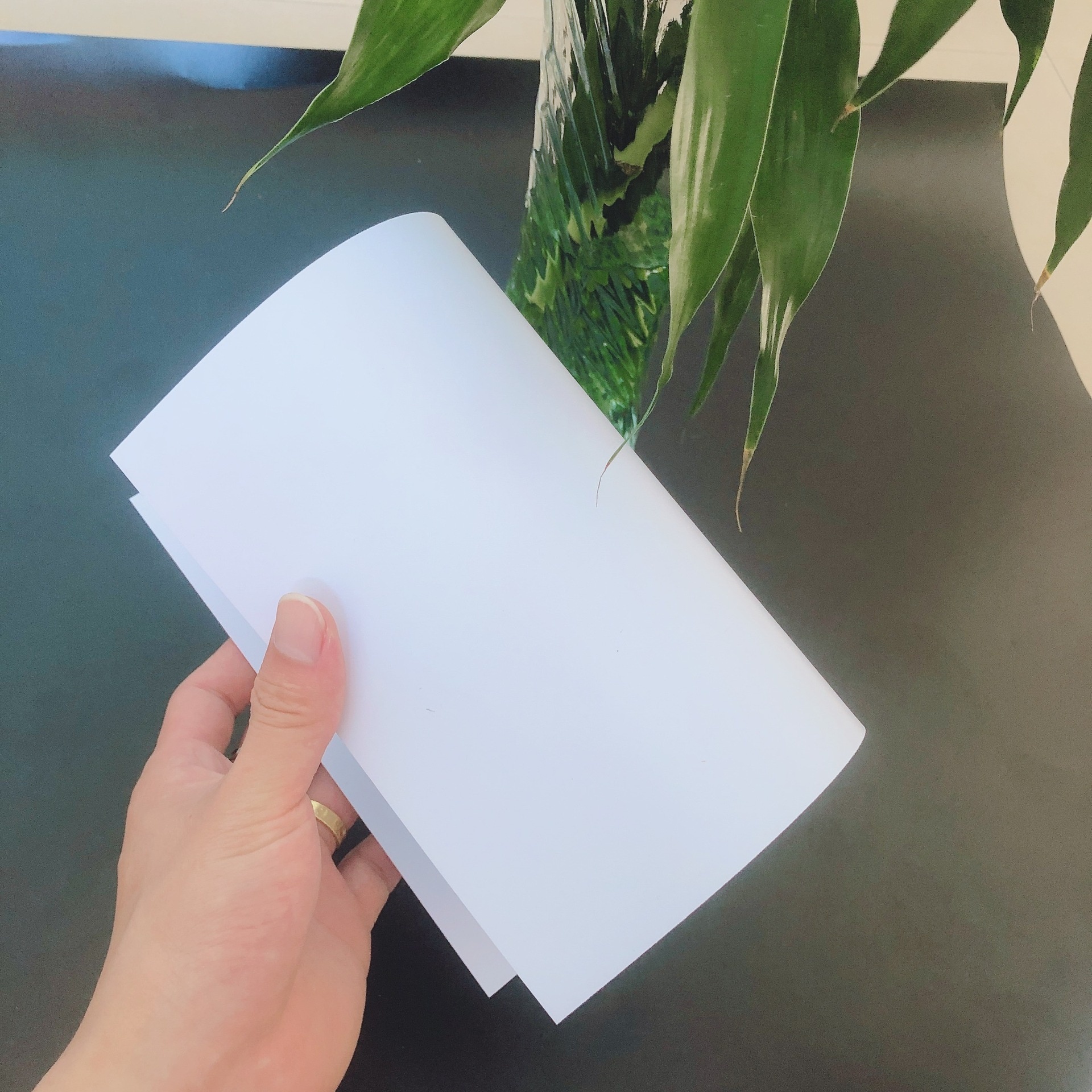PVC matte white plastic sheet to Kerala