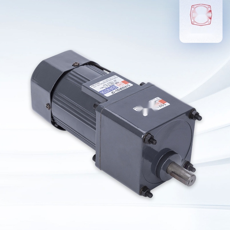 Micro AC geared motor to Punjab