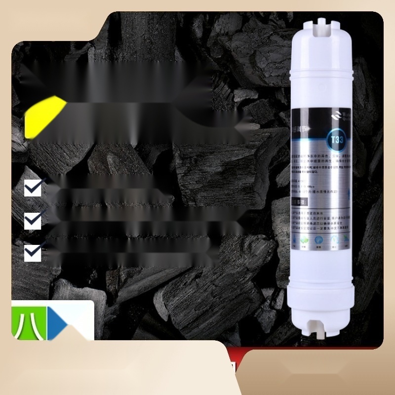 T33 post-carbon filter cartridge to Gujarat