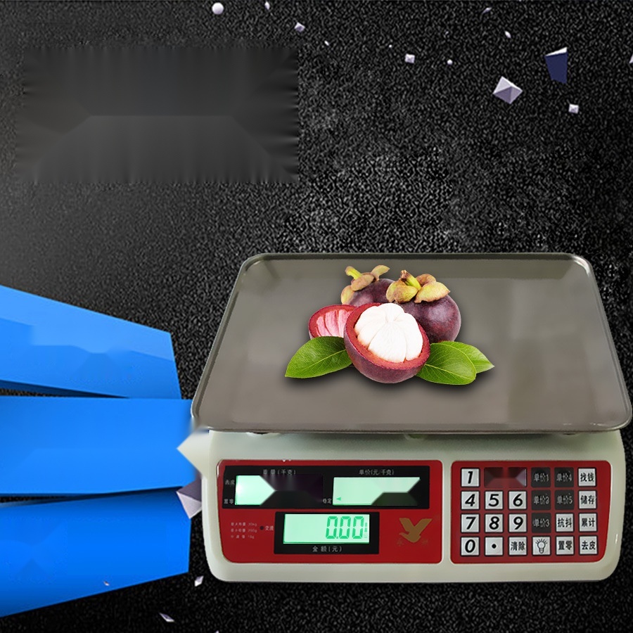 30kg electronic platform scale to Uttar Pradesh