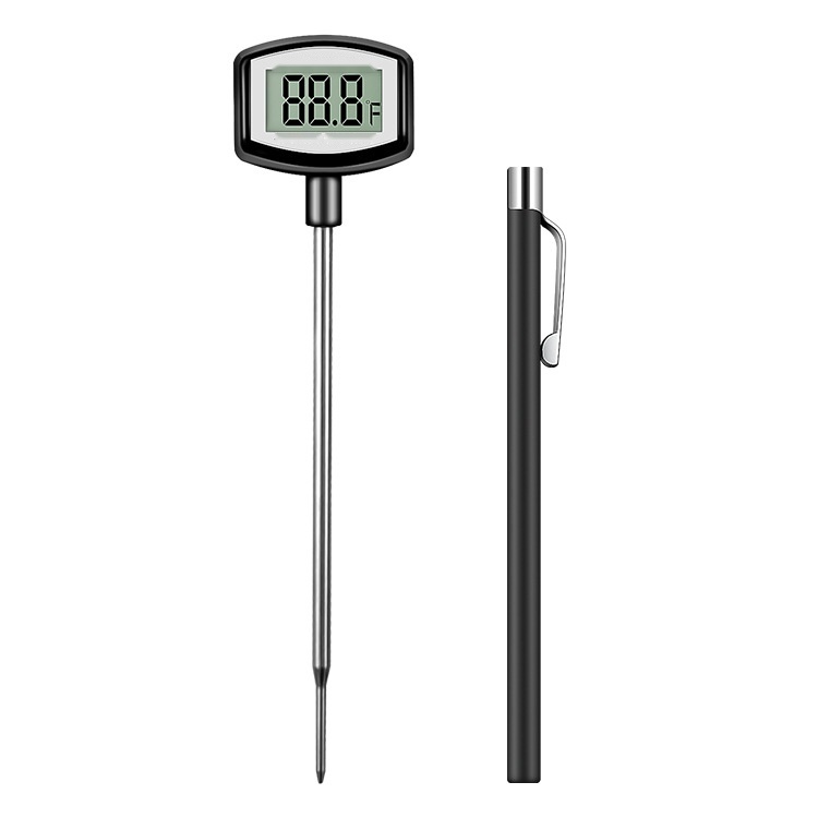 Food thermometer to Delhi