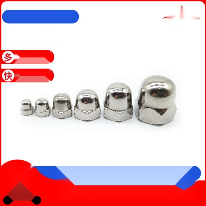 Stainless Steel Cap Nut to Delhi