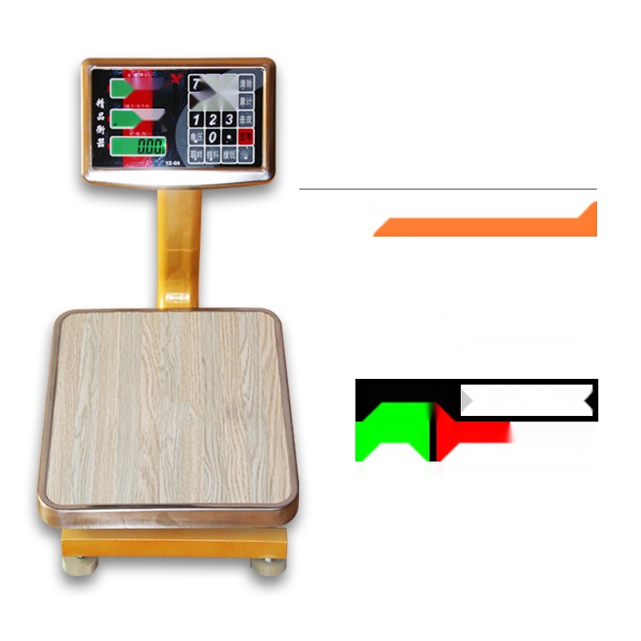 Small Platform Scale to Rajasthan