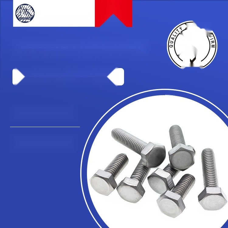 M10*60-M10*100 pure titanium external hex head bolts to Uttar Pradesh