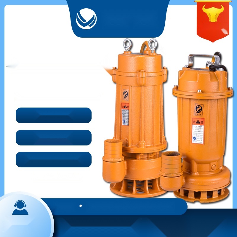 WQ submersible sewage pump to Uttarakhand