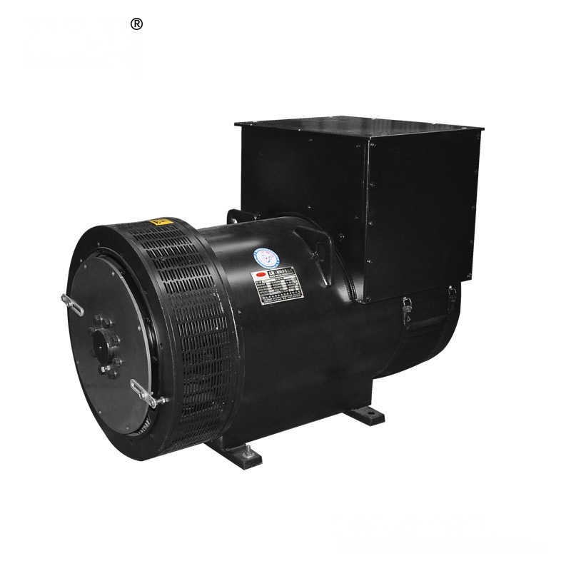 permanent magnet synchronous generator to Nagaland