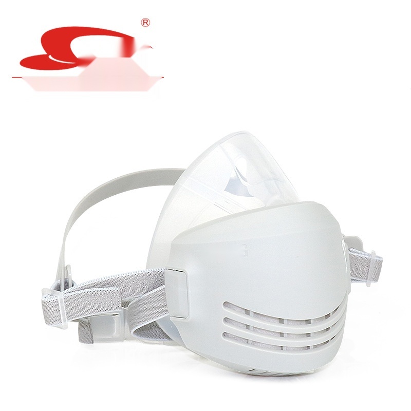 ST-AG silicone dust mask to Punjab