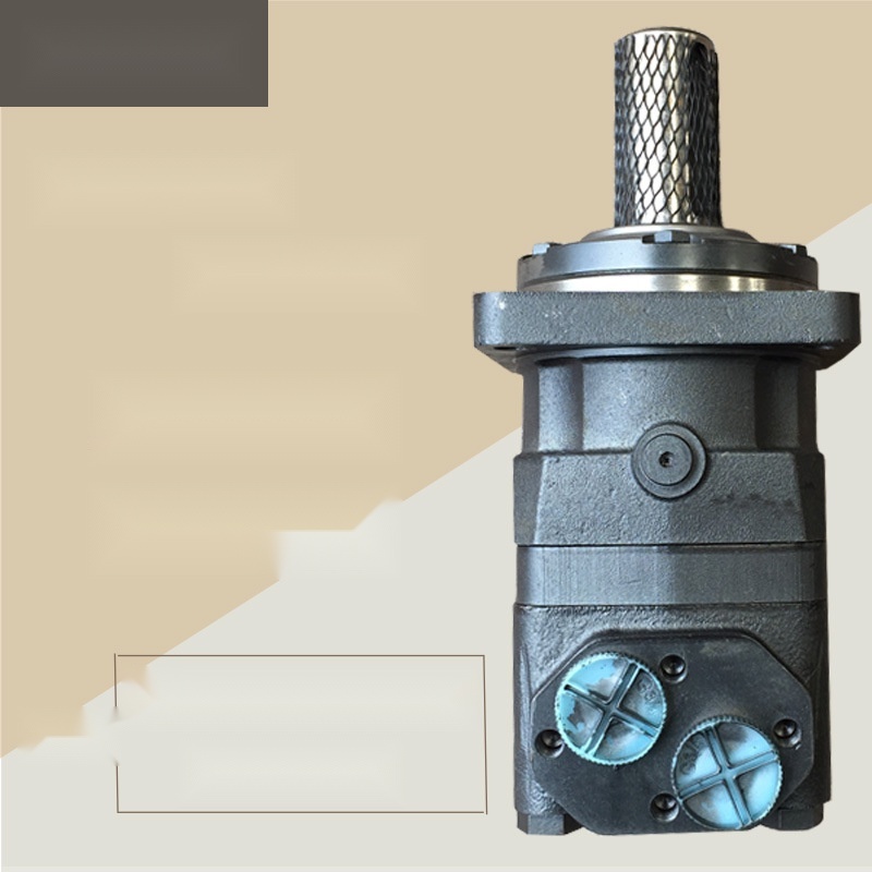 Cycloidal hydraulic motor to Delhi