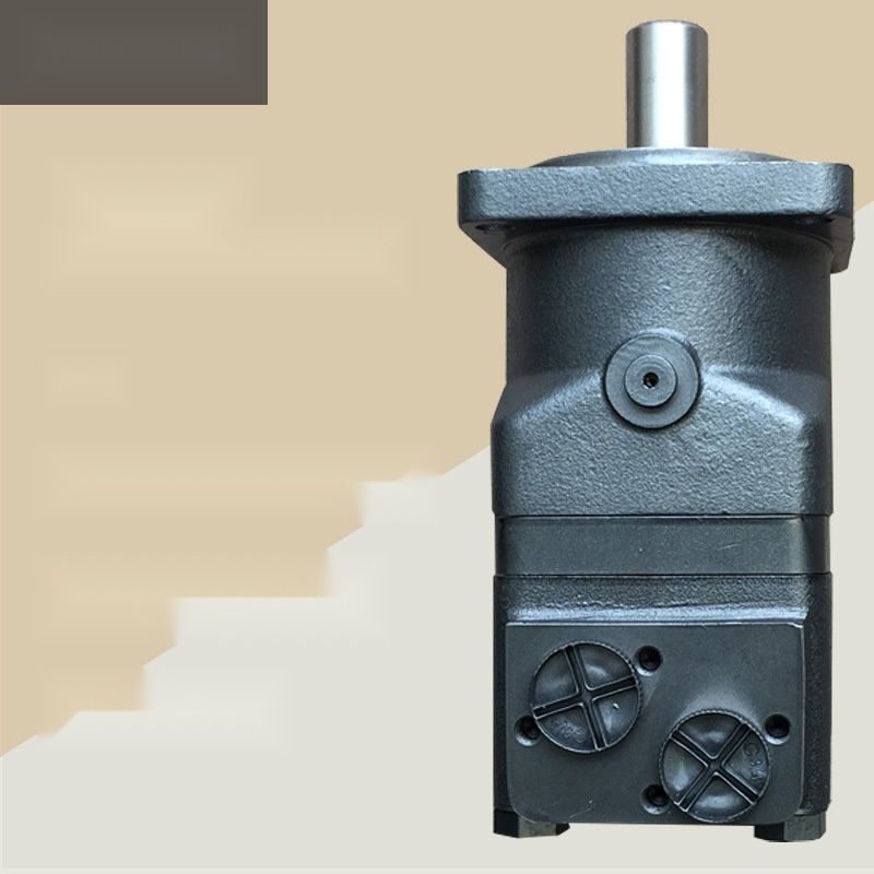 BMT50-400A oil motor to Punjab