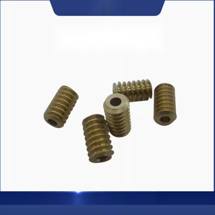 Copper worm gear to Daman and Diu