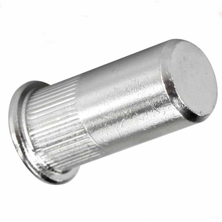 304 Stainless Steel Blind Hole Rivet Nut to Andhra Pradesh