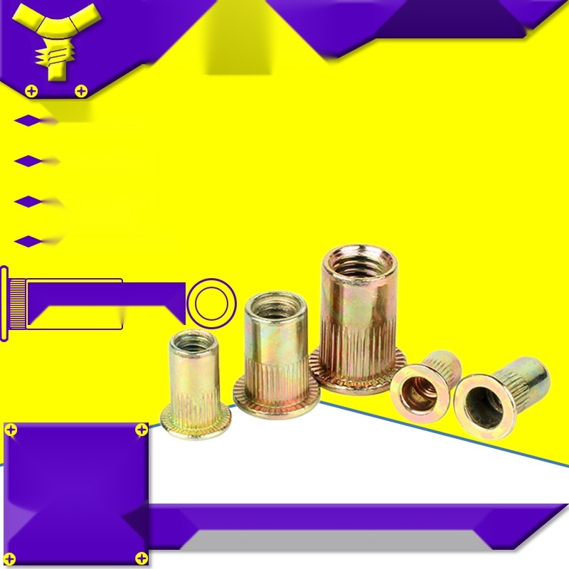 M3-M12 rivet nut to Haryana