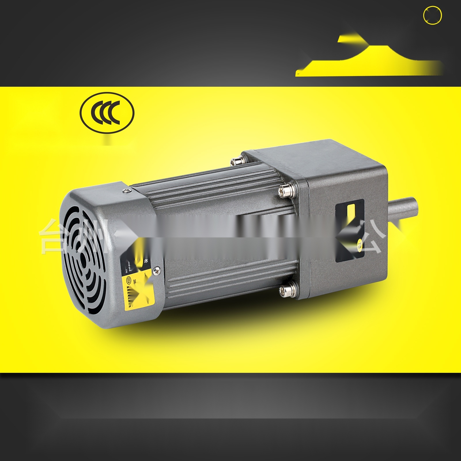 Taisong geared motor to Gujarat