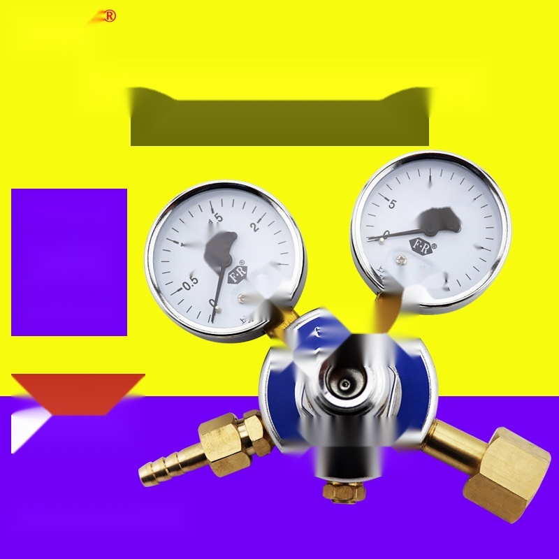 Shanghai Fanrui N2 pressure gauge to Daman and Diu