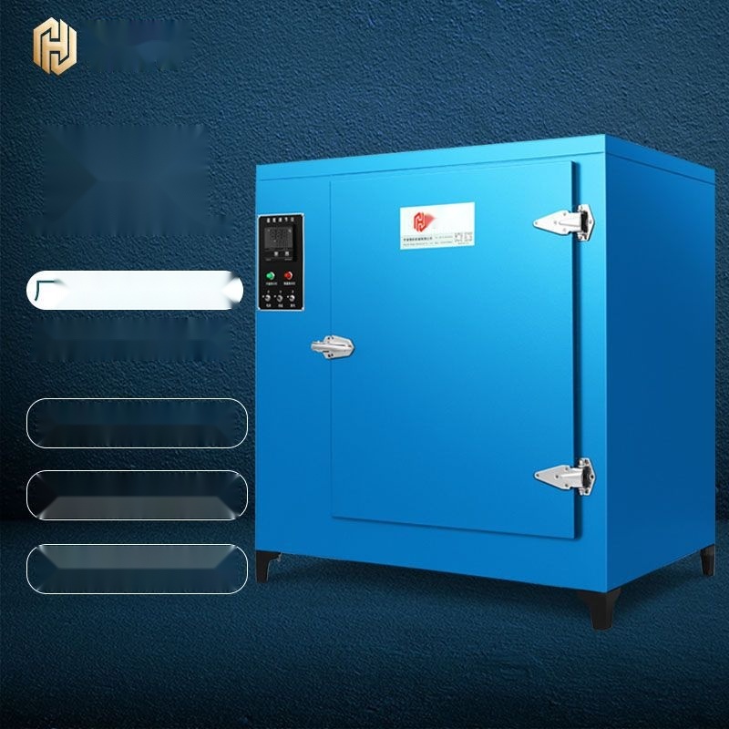 Industrial electric hot air blast oven to Delhi