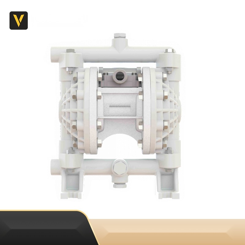Versa-Matic pneumatic diaphragm pump to Rajasthan