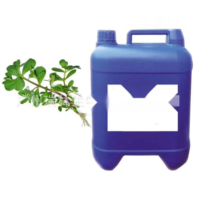 Portulaca oleracea extract to Gujarat