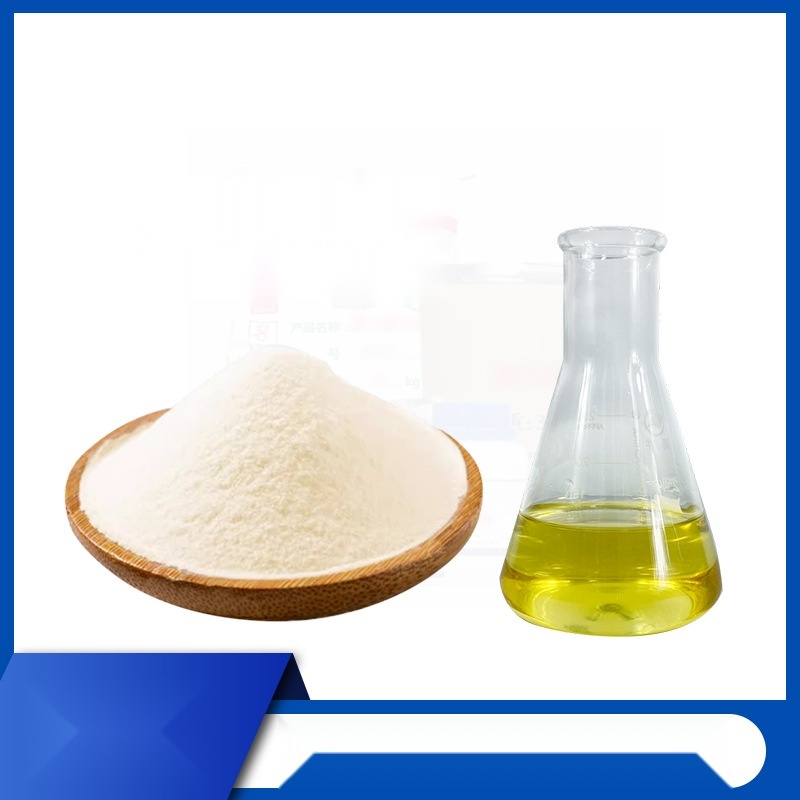 Yeast extract powder to Nagaland
