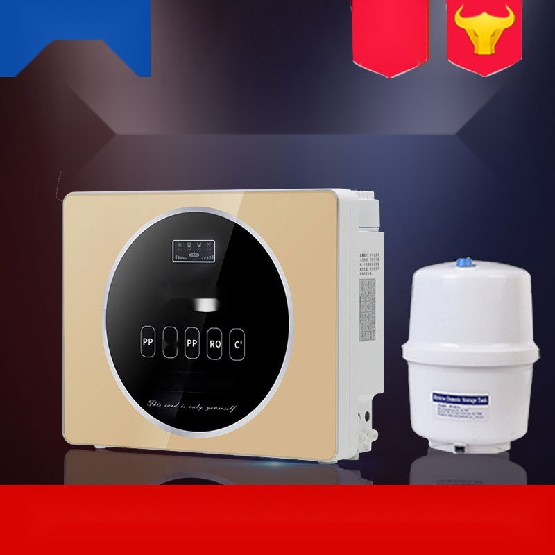 RO reverse osmosis water purifier to Punjab