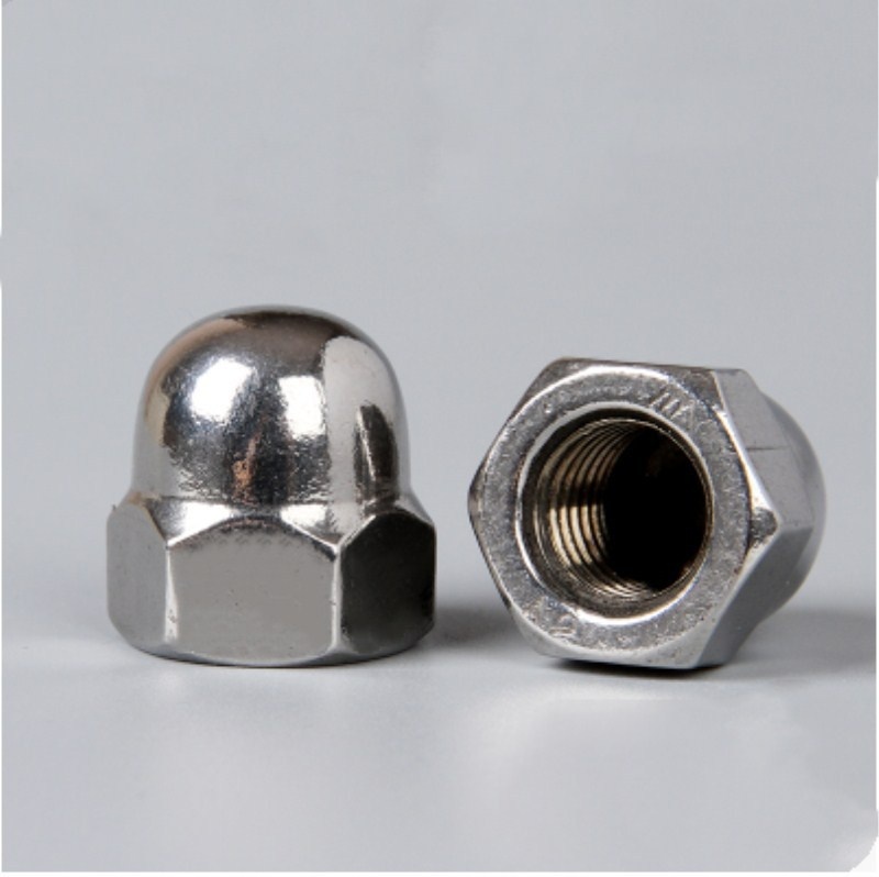 stainless steel cap nut to Maharashtra