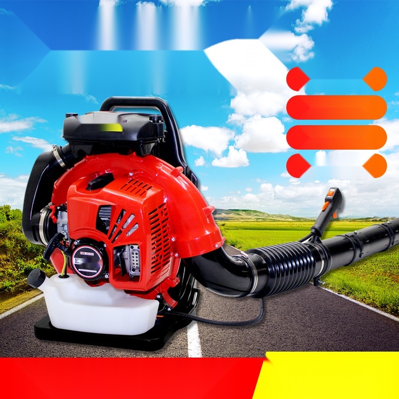 backpack gasoline blower to Maharashtra
