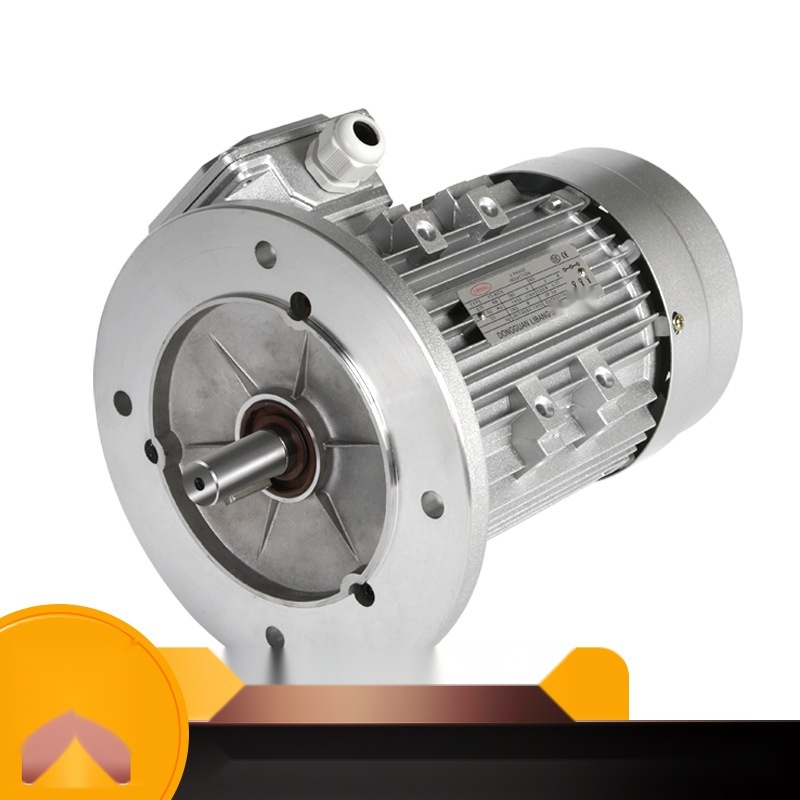 Libang 1.5KW food machinery motor to Maharashtra